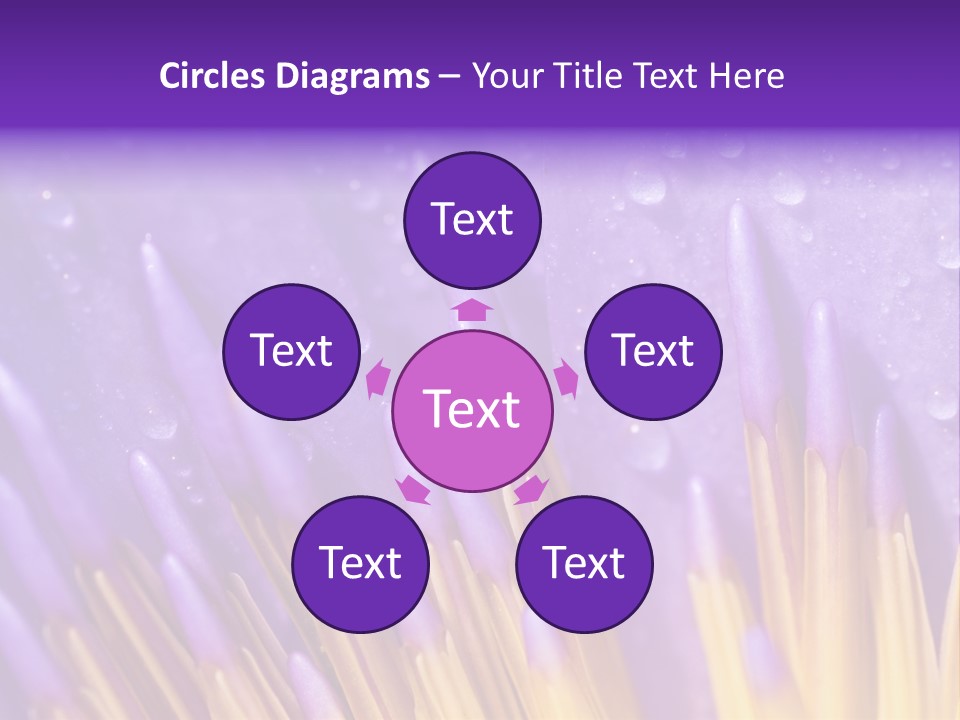 Close Up Of Purple Water Lily PowerPoint Template