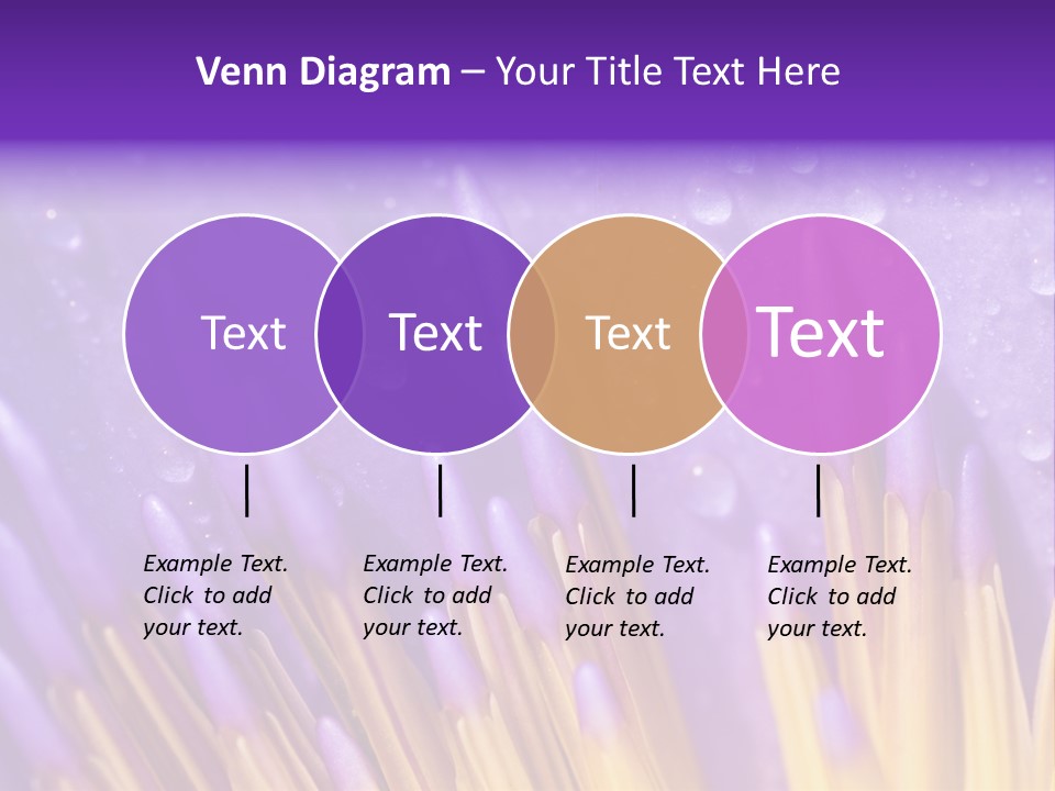 Close Up Of Purple Water Lily PowerPoint Template