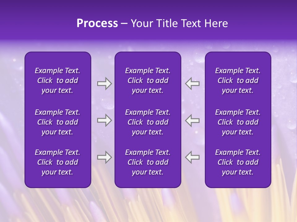 Close Up Of Purple Water Lily PowerPoint Template