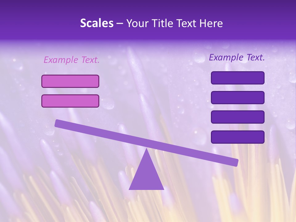 Close Up Of Purple Water Lily PowerPoint Template