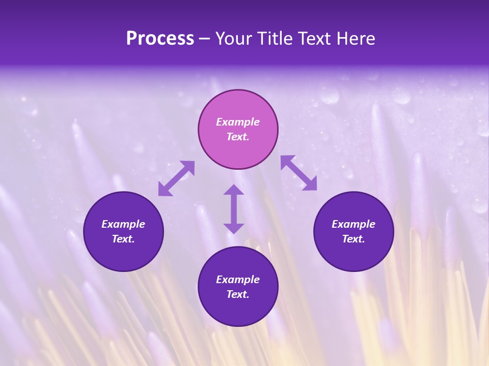Close Up Of Purple Water Lily PowerPoint Template