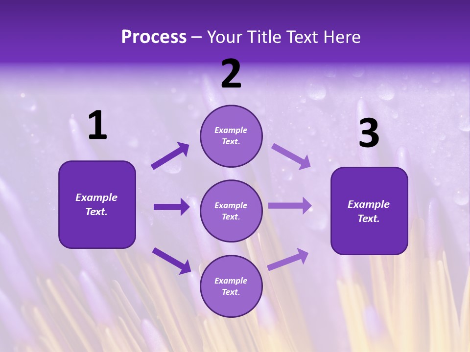 Close Up Of Purple Water Lily PowerPoint Template