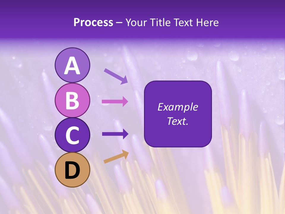 Close Up Of Purple Water Lily PowerPoint Template