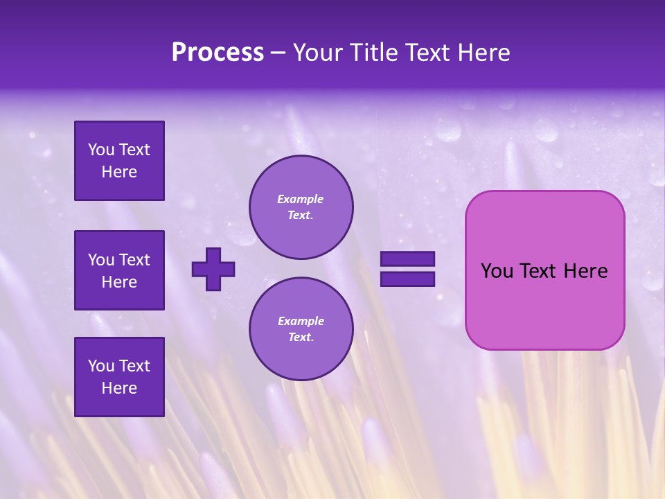 Close Up Of Purple Water Lily PowerPoint Template