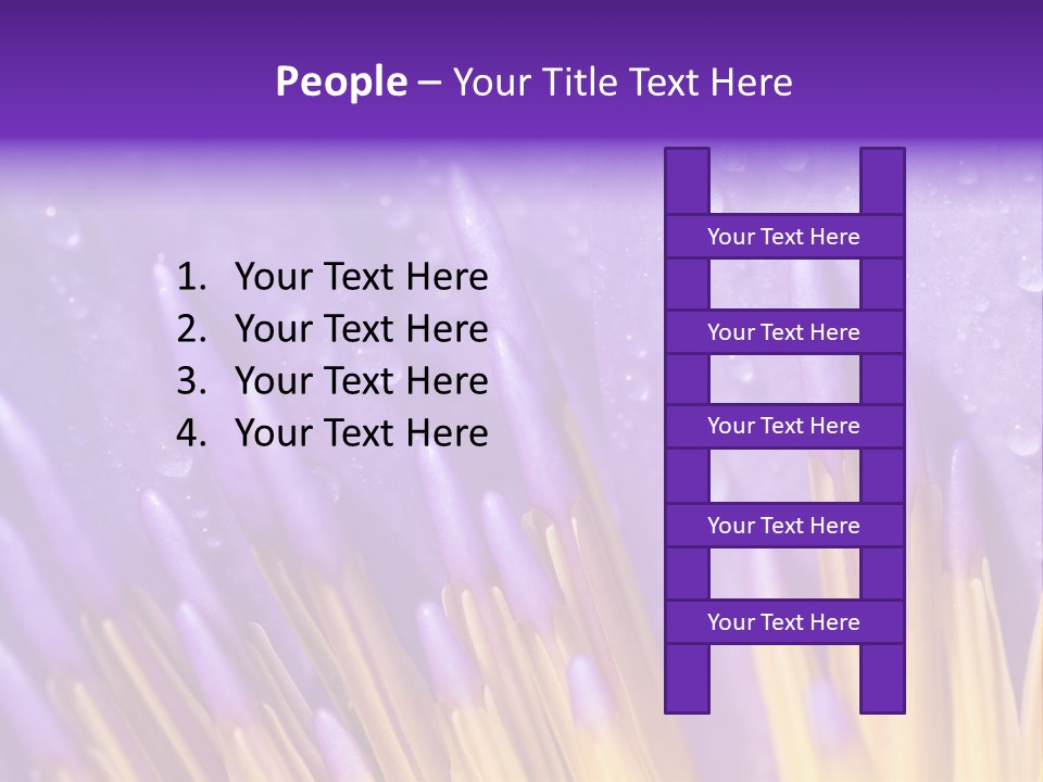Close Up Of Purple Water Lily PowerPoint Template