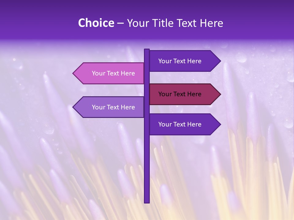 Close Up Of Purple Water Lily PowerPoint Template