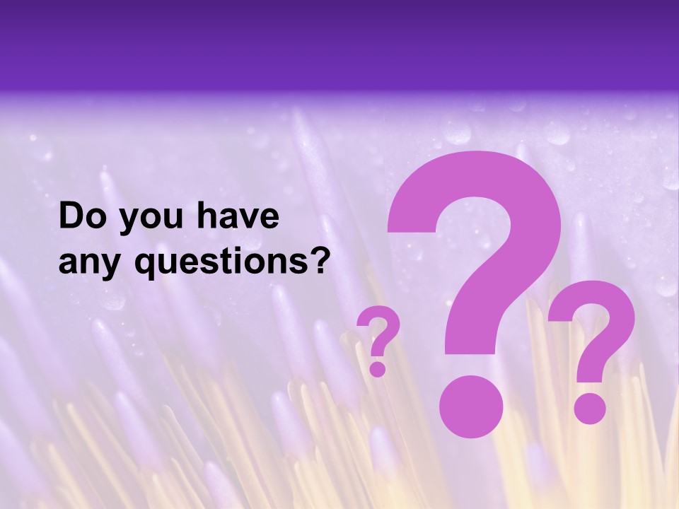 Close Up Of Purple Water Lily PowerPoint Template