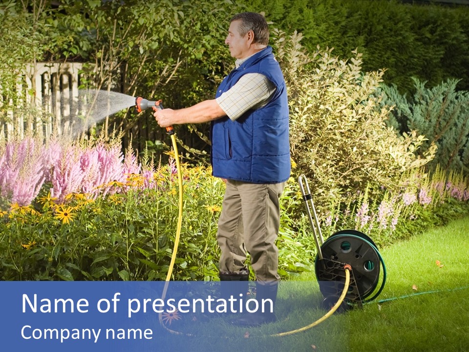A Man Watering His Garden With A Hose PowerPoint Template