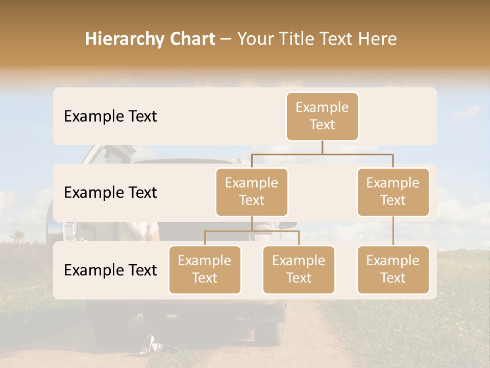 Bee Pattern PowerPoint Template