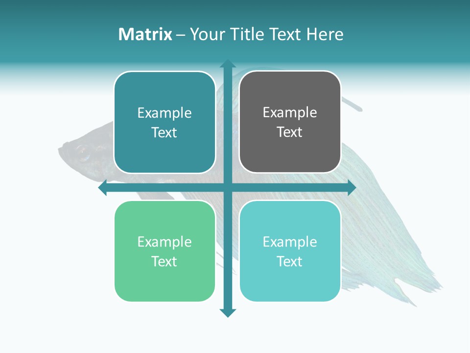 Close-Up On A Fish Skin - Blue Siamese Fighting Fish - Betta Splendens In Front Of A White Background PowerPoint Template