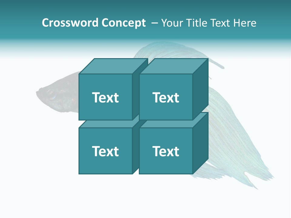 Close-Up On A Fish Skin - Blue Siamese Fighting Fish - Betta Splendens In Front Of A White Background PowerPoint Template