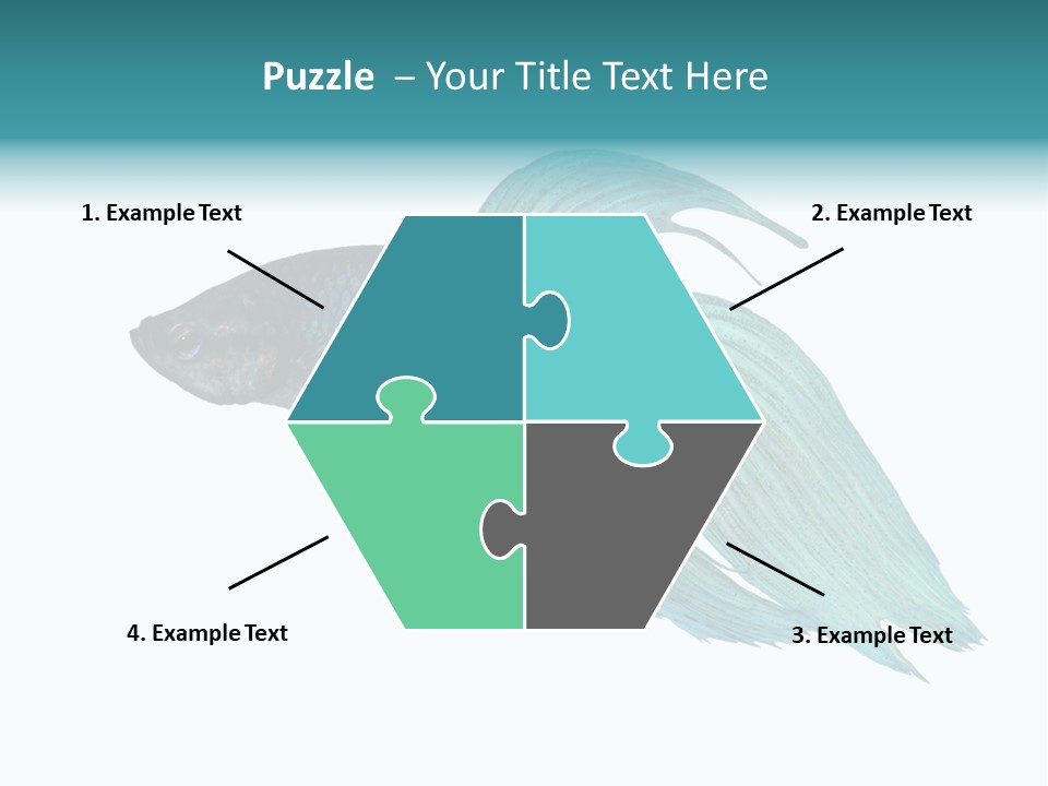 Close-Up On A Fish Skin - Blue Siamese Fighting Fish - Betta Splendens In Front Of A White Background PowerPoint Template