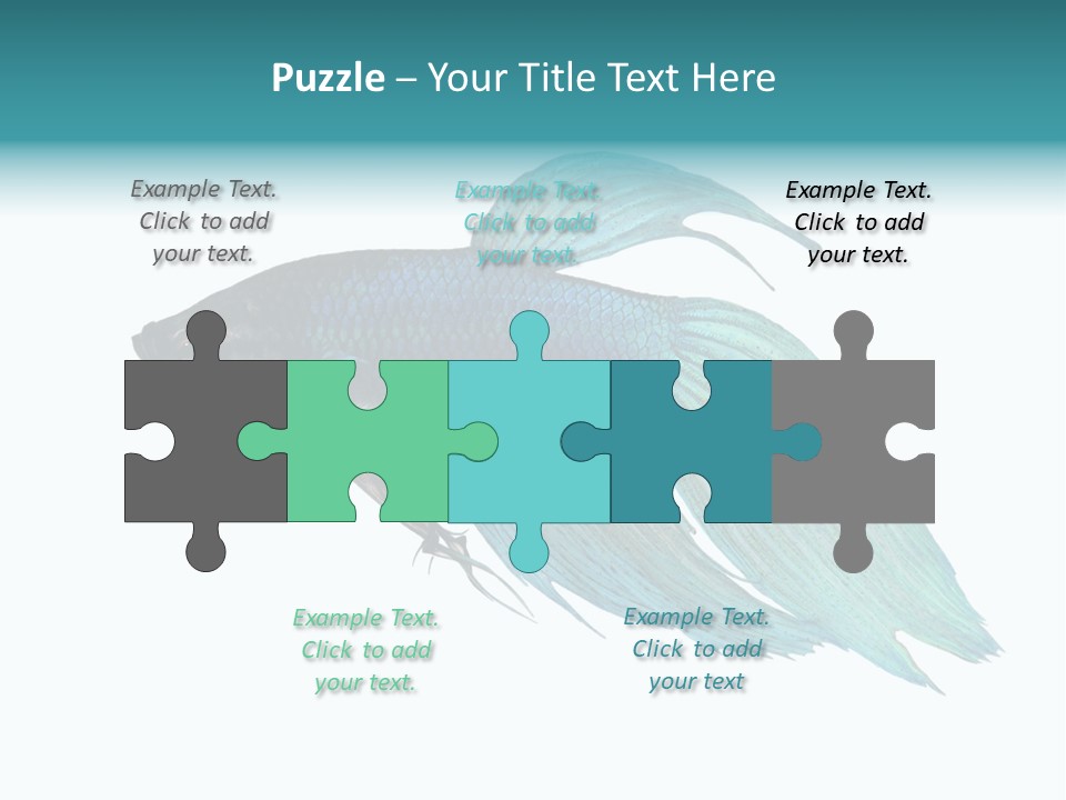 Close-Up On A Fish Skin - Blue Siamese Fighting Fish - Betta Splendens In Front Of A White Background PowerPoint Template