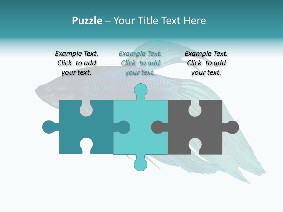 Close-Up On A Fish Skin - Blue Siamese Fighting Fish - Betta Splendens In Front Of A White Background PowerPoint Template