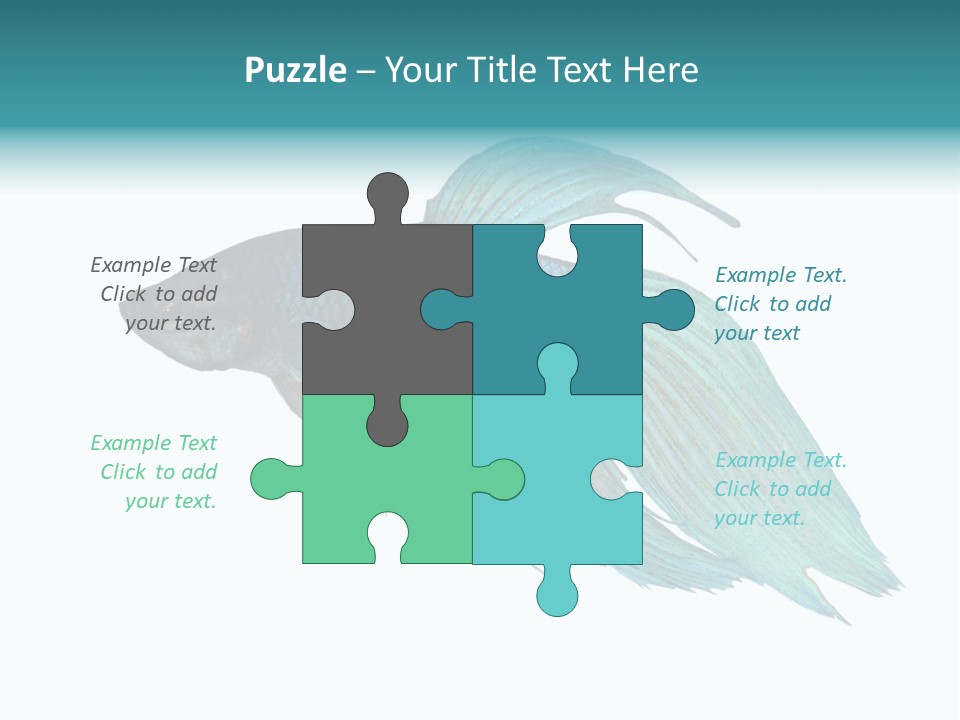 Close-Up On A Fish Skin - Blue Siamese Fighting Fish - Betta Splendens In Front Of A White Background PowerPoint Template