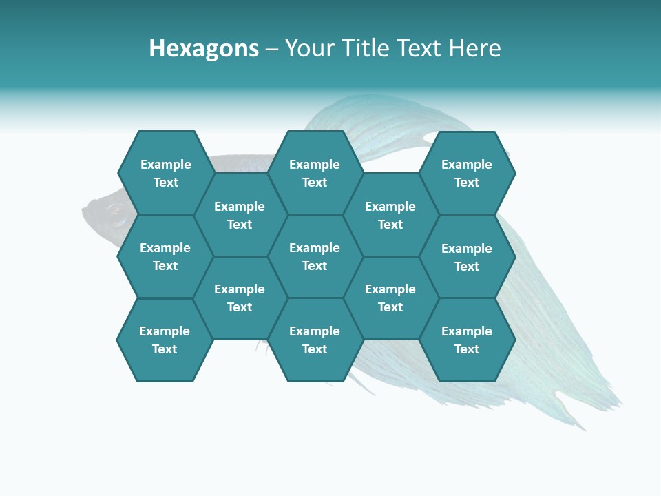 Close-Up On A Fish Skin - Blue Siamese Fighting Fish - Betta Splendens In Front Of A White Background PowerPoint Template