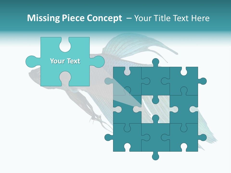 Close-Up On A Fish Skin - Blue Siamese Fighting Fish - Betta Splendens In Front Of A White Background PowerPoint Template