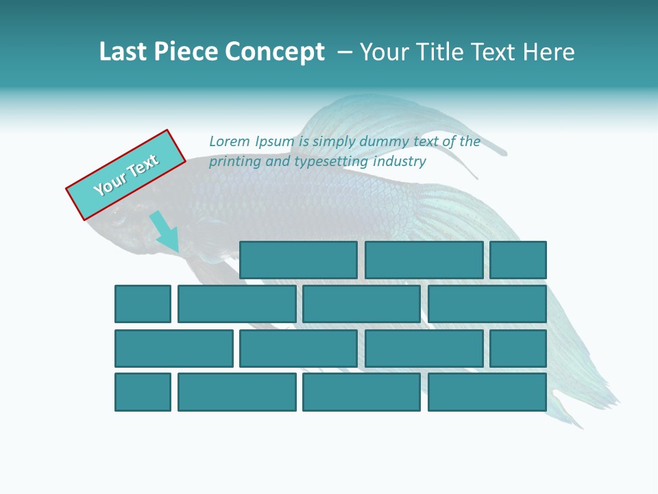 Close-Up On A Fish Skin - Blue Siamese Fighting Fish - Betta Splendens In Front Of A White Background PowerPoint Template