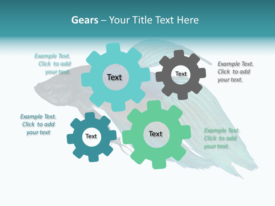 Close-Up On A Fish Skin - Blue Siamese Fighting Fish - Betta Splendens In Front Of A White Background PowerPoint Template