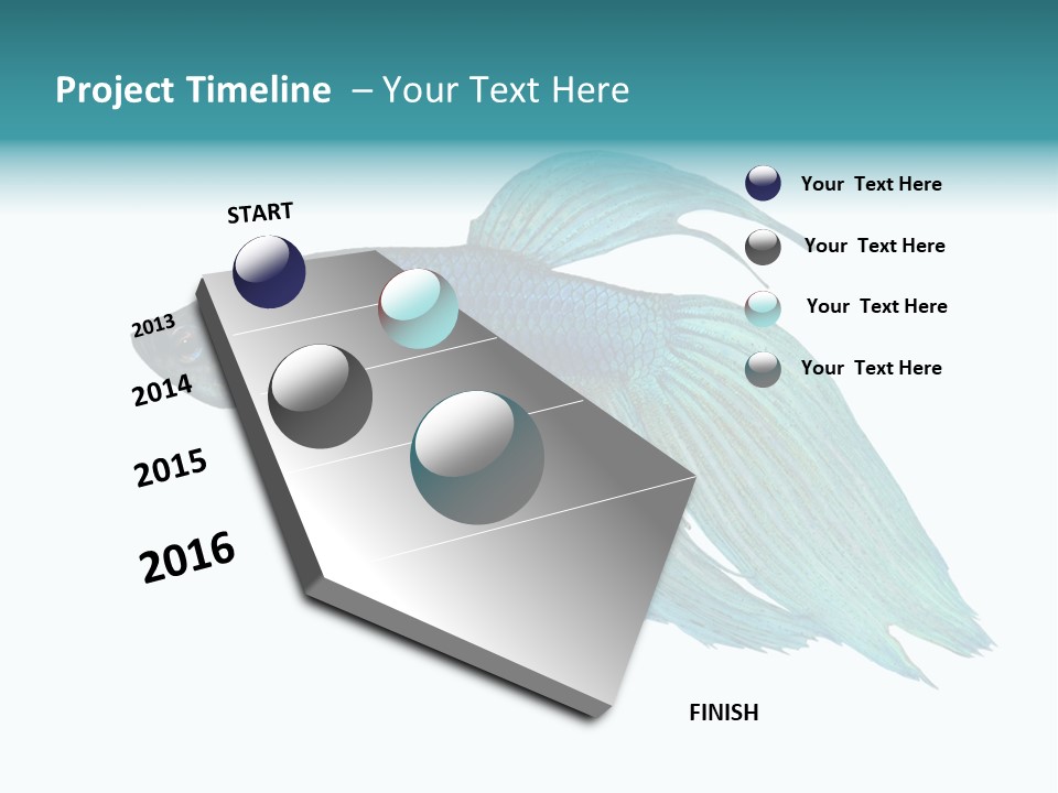 Close-Up On A Fish Skin - Blue Siamese Fighting Fish - Betta Splendens In Front Of A White Background PowerPoint Template