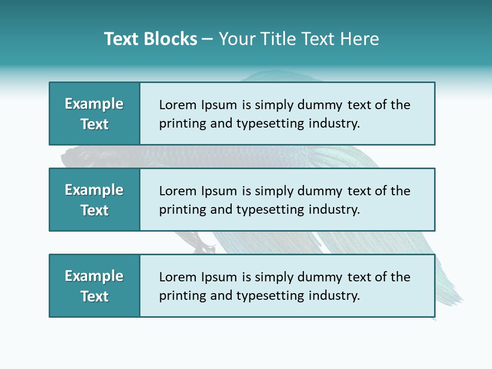 Close-Up On A Fish Skin - Blue Siamese Fighting Fish - Betta Splendens In Front Of A White Background PowerPoint Template