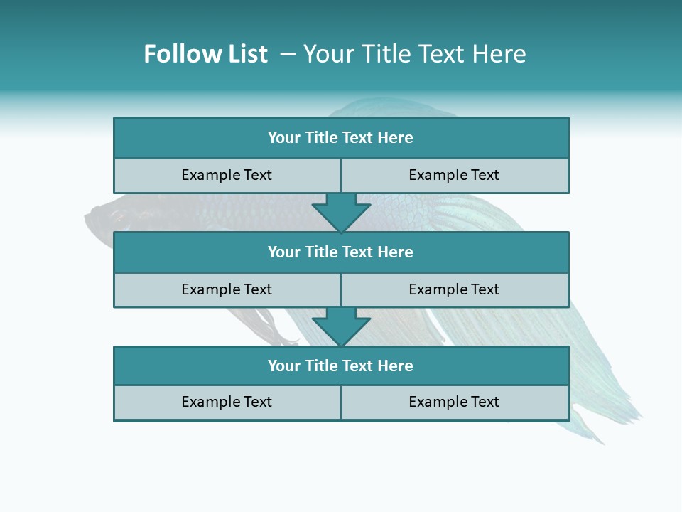 Close-Up On A Fish Skin - Blue Siamese Fighting Fish - Betta Splendens In Front Of A White Background PowerPoint Template