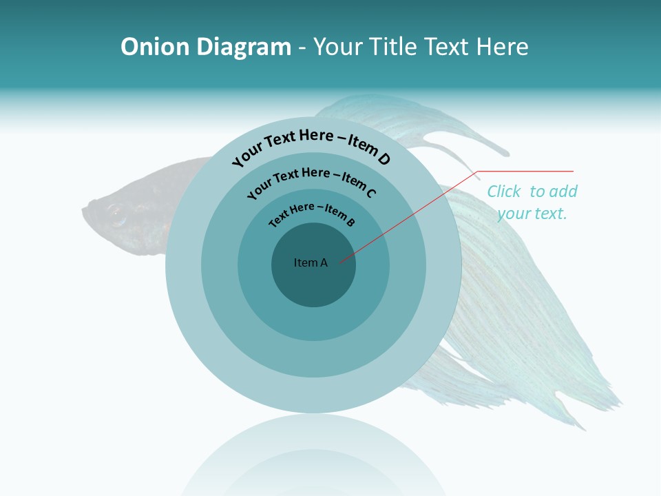 Close-Up On A Fish Skin - Blue Siamese Fighting Fish - Betta Splendens In Front Of A White Background PowerPoint Template