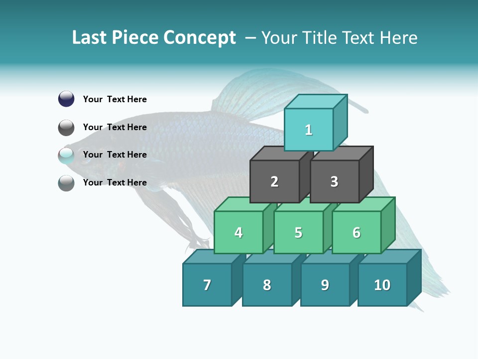 Close-Up On A Fish Skin - Blue Siamese Fighting Fish - Betta Splendens In Front Of A White Background PowerPoint Template