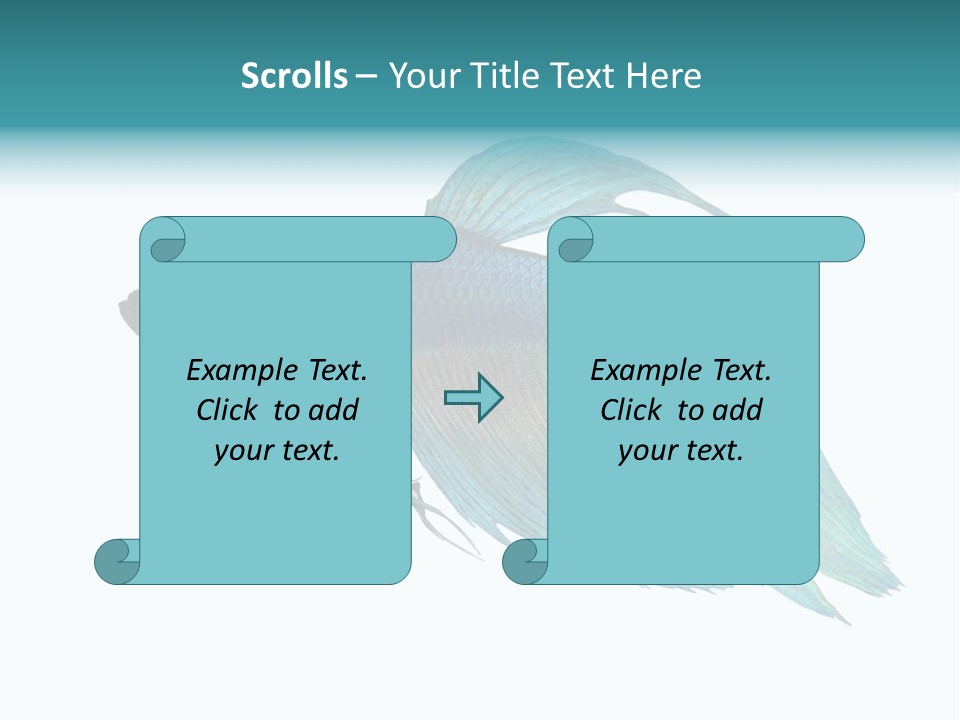 Close-Up On A Fish Skin - Blue Siamese Fighting Fish - Betta Splendens In Front Of A White Background PowerPoint Template