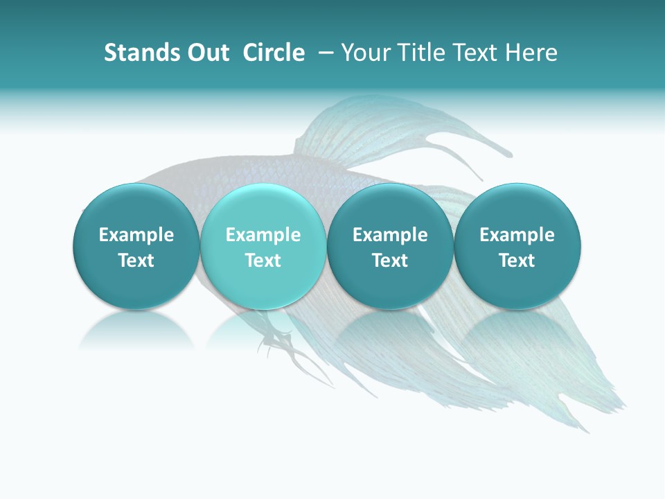 Close-Up On A Fish Skin - Blue Siamese Fighting Fish - Betta Splendens In Front Of A White Background PowerPoint Template