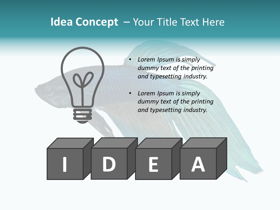 Close-Up On A Fish Skin - Blue Siamese Fighting Fish - Betta Splendens In Front Of A White Background PowerPoint Template