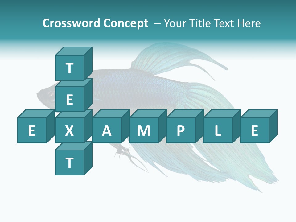 Close-Up On A Fish Skin - Blue Siamese Fighting Fish - Betta Splendens In Front Of A White Background PowerPoint Template