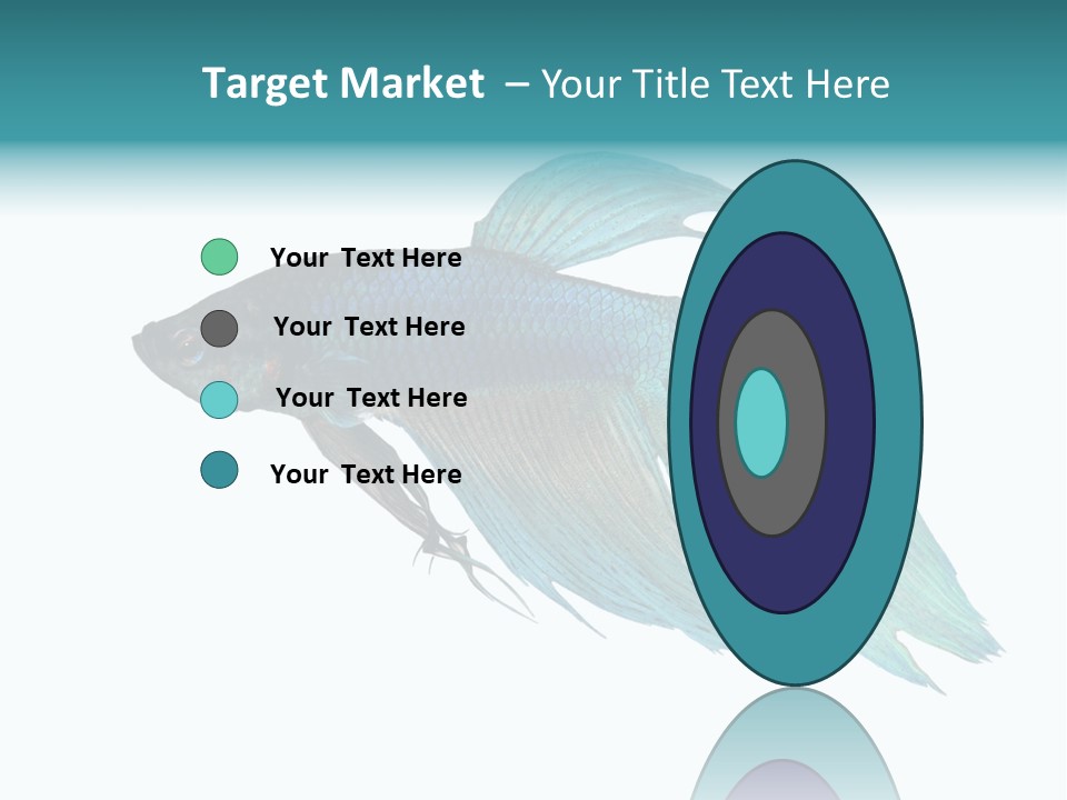 Close-Up On A Fish Skin - Blue Siamese Fighting Fish - Betta Splendens In Front Of A White Background PowerPoint Template