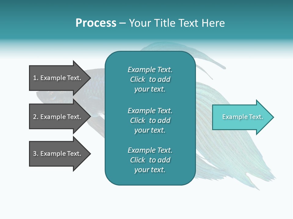 Close-Up On A Fish Skin - Blue Siamese Fighting Fish - Betta Splendens In Front Of A White Background PowerPoint Template