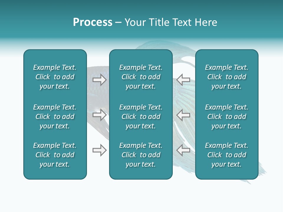 Close-Up On A Fish Skin - Blue Siamese Fighting Fish - Betta Splendens In Front Of A White Background PowerPoint Template