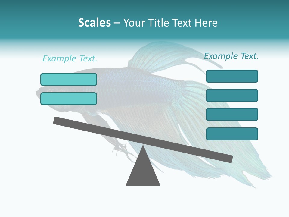 Close-Up On A Fish Skin - Blue Siamese Fighting Fish - Betta Splendens In Front Of A White Background PowerPoint Template