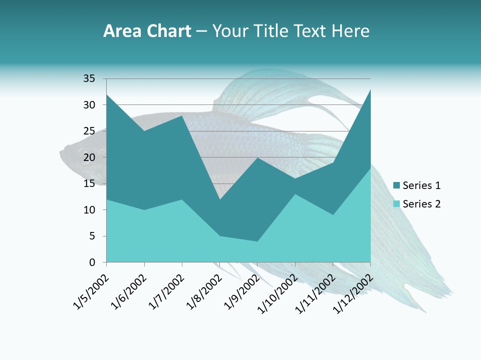 Close-Up On A Fish Skin - Blue Siamese Fighting Fish - Betta Splendens In Front Of A White Background PowerPoint Template