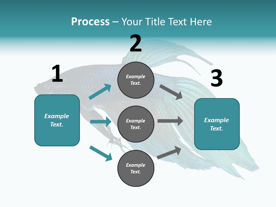 Close-Up On A Fish Skin - Blue Siamese Fighting Fish - Betta Splendens In Front Of A White Background PowerPoint Template