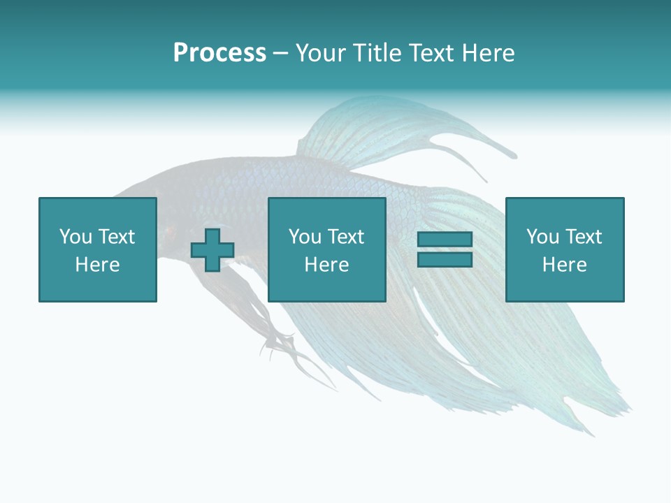 Close-Up On A Fish Skin - Blue Siamese Fighting Fish - Betta Splendens In Front Of A White Background PowerPoint Template