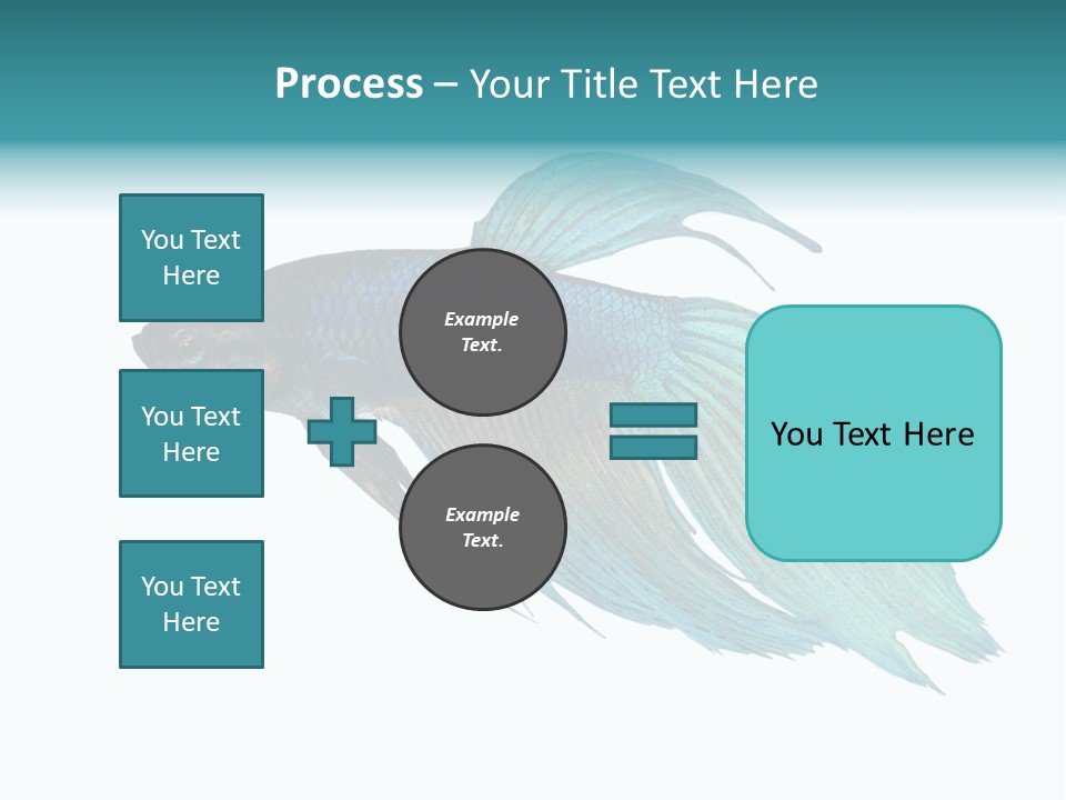 Close-Up On A Fish Skin - Blue Siamese Fighting Fish - Betta Splendens In Front Of A White Background PowerPoint Template
