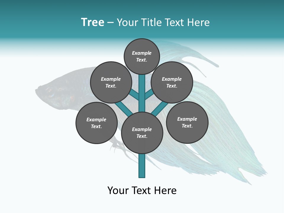 Close-Up On A Fish Skin - Blue Siamese Fighting Fish - Betta Splendens In Front Of A White Background PowerPoint Template