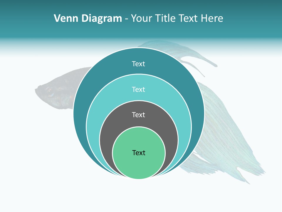 Close-Up On A Fish Skin - Blue Siamese Fighting Fish - Betta Splendens In Front Of A White Background PowerPoint Template