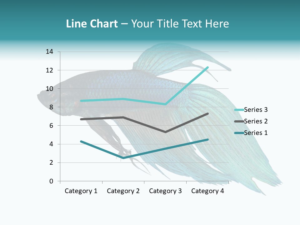 Close-Up On A Fish Skin - Blue Siamese Fighting Fish - Betta Splendens In Front Of A White Background PowerPoint Template