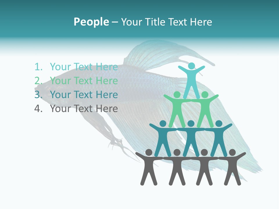 Close-Up On A Fish Skin - Blue Siamese Fighting Fish - Betta Splendens In Front Of A White Background PowerPoint Template