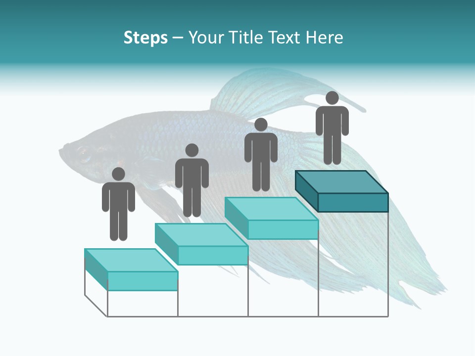 Close-Up On A Fish Skin - Blue Siamese Fighting Fish - Betta Splendens In Front Of A White Background PowerPoint Template