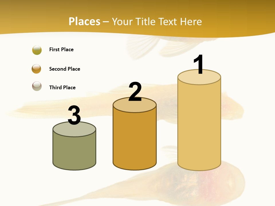 Bushy Nose - Goldspot Ancistrus Albino In Front Of A White Background PowerPoint Template