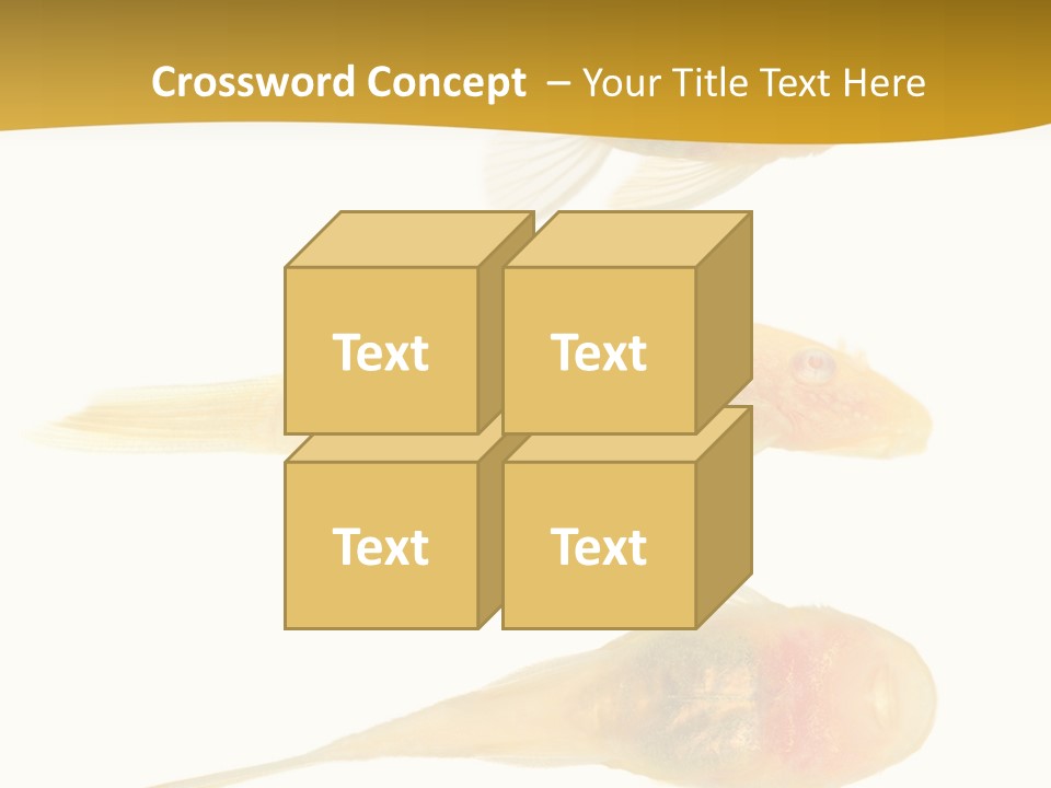 Bushy Nose - Goldspot Ancistrus Albino In Front Of A White Background PowerPoint Template