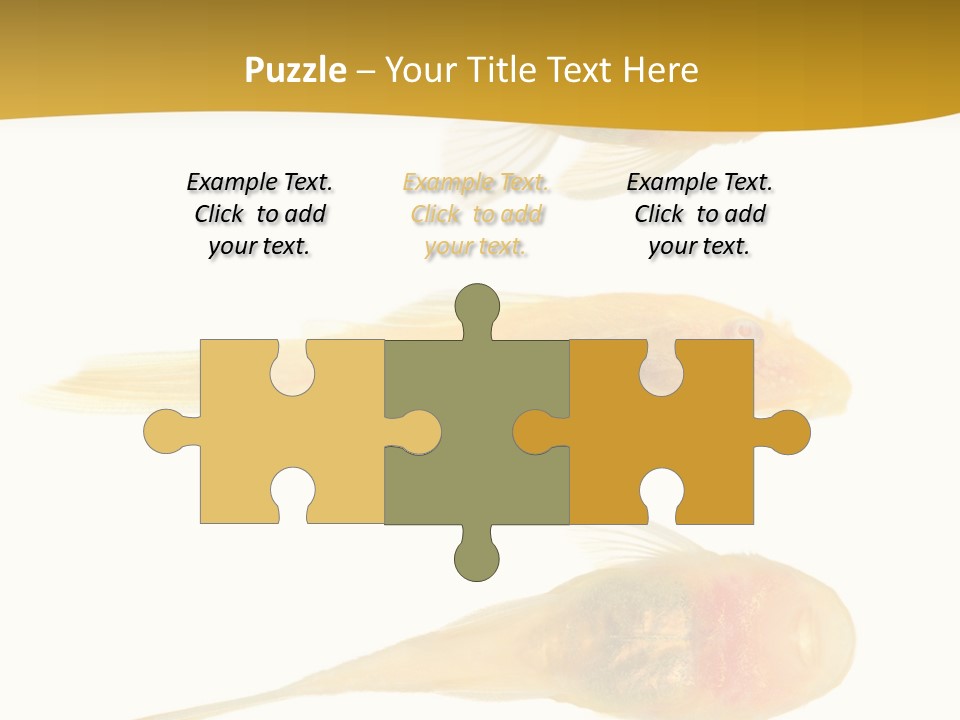 Bushy Nose - Goldspot Ancistrus Albino In Front Of A White Background PowerPoint Template