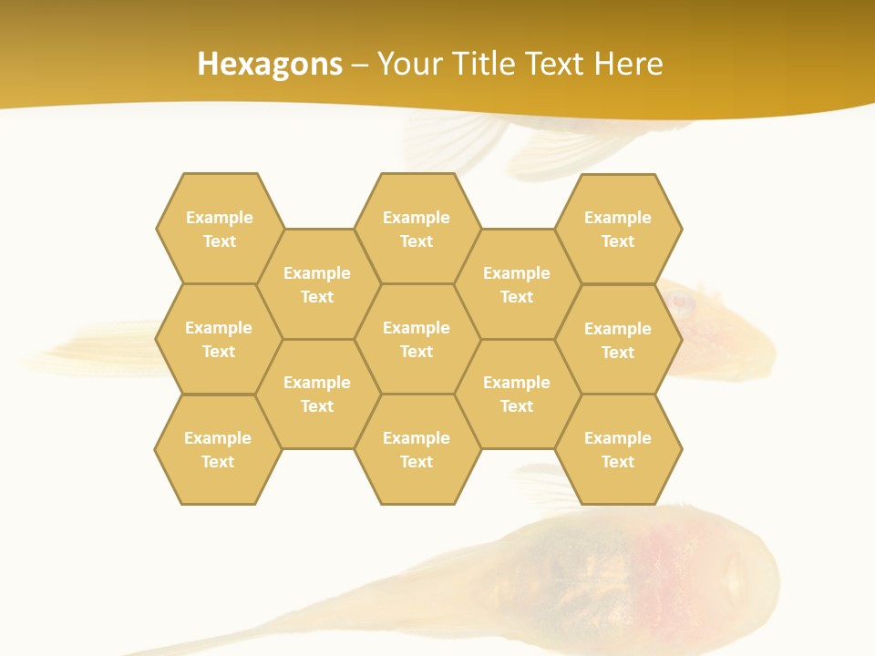 Bushy Nose - Goldspot Ancistrus Albino In Front Of A White Background PowerPoint Template