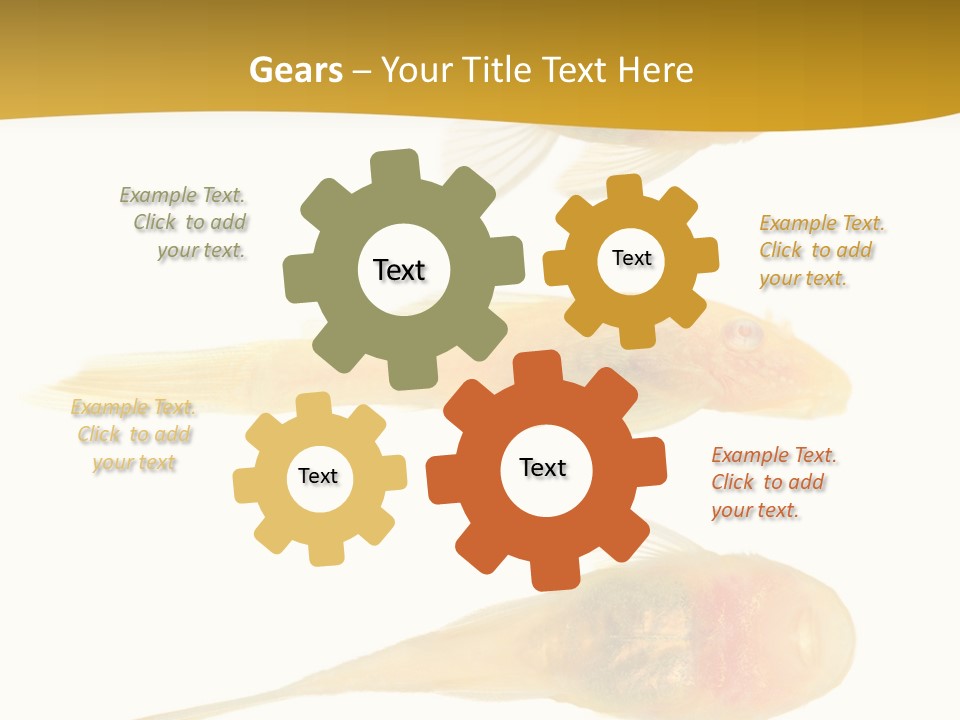 Bushy Nose - Goldspot Ancistrus Albino In Front Of A White Background PowerPoint Template